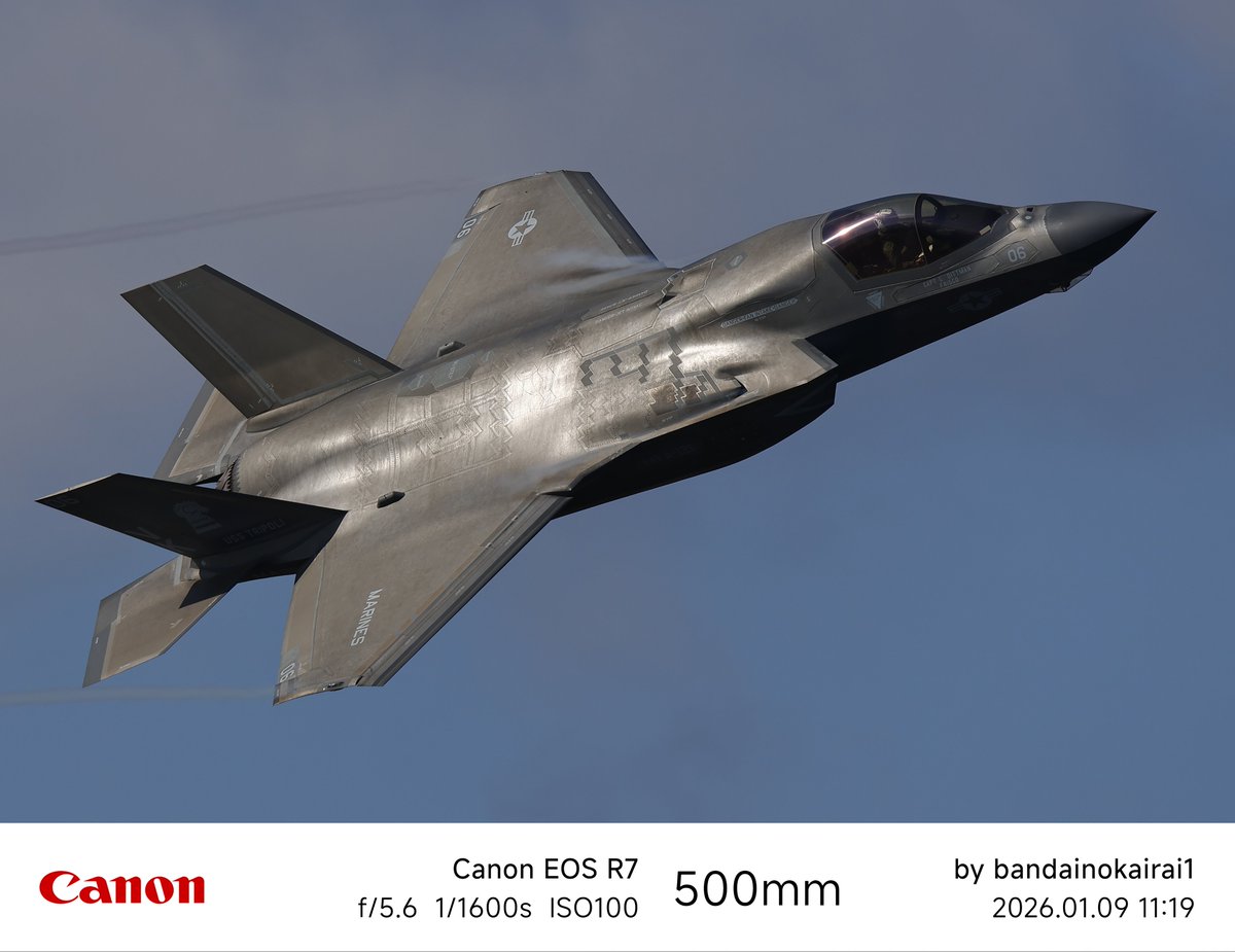 型落ちした戦闘機F35シリーズ （最新鋭第5世代ジェット戦闘機） 5世代機の特徴である超音速巡航能力と高いステルス性能を有するに収まらず