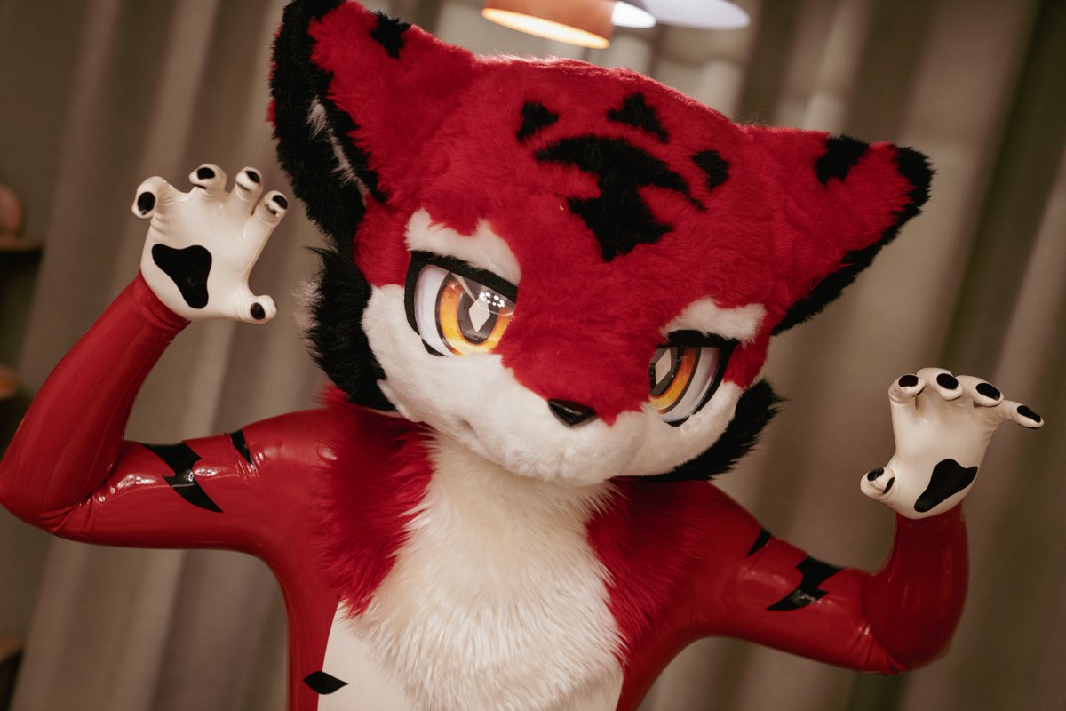 小菊发w tweet media