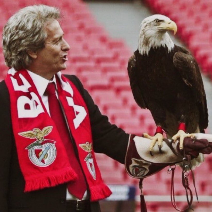 #CR7 💛ريمازوفيتش 🇵🇹 tweet media