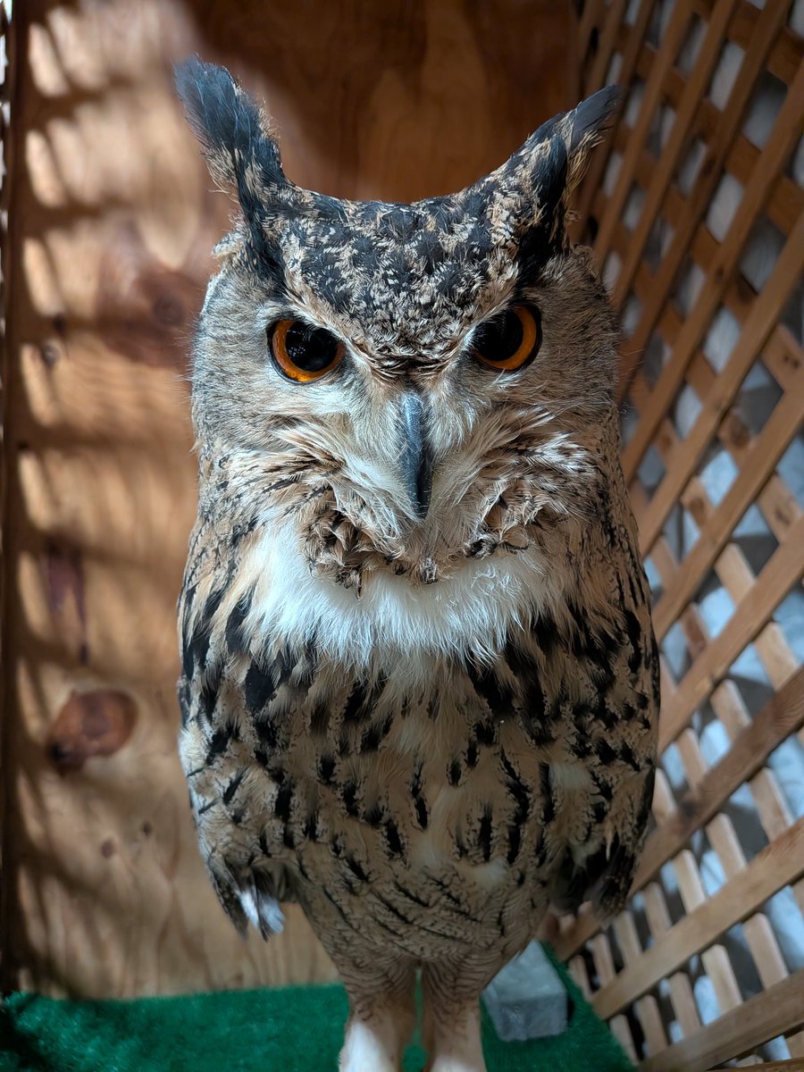 ただいま〜。ご飯持ってくるから、もう少し待っててね