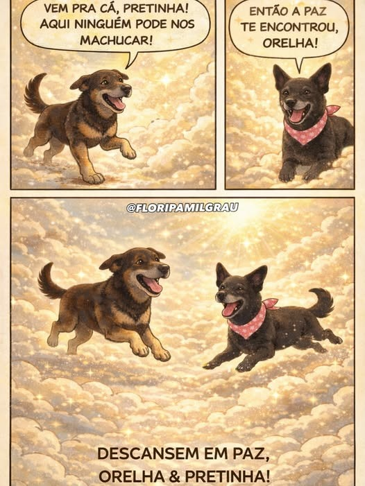 pontinisandra's tweet photo. Moreu hoje dia 10/02 - Pretinha a melhor amiga do Orelha🥹🙏 https://t.co/Mckw1iS8py