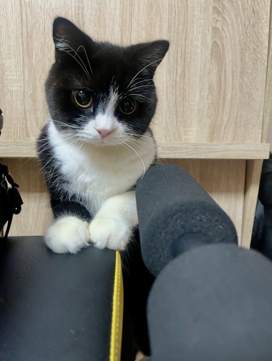 たろう (@taro20216) / Posts / X