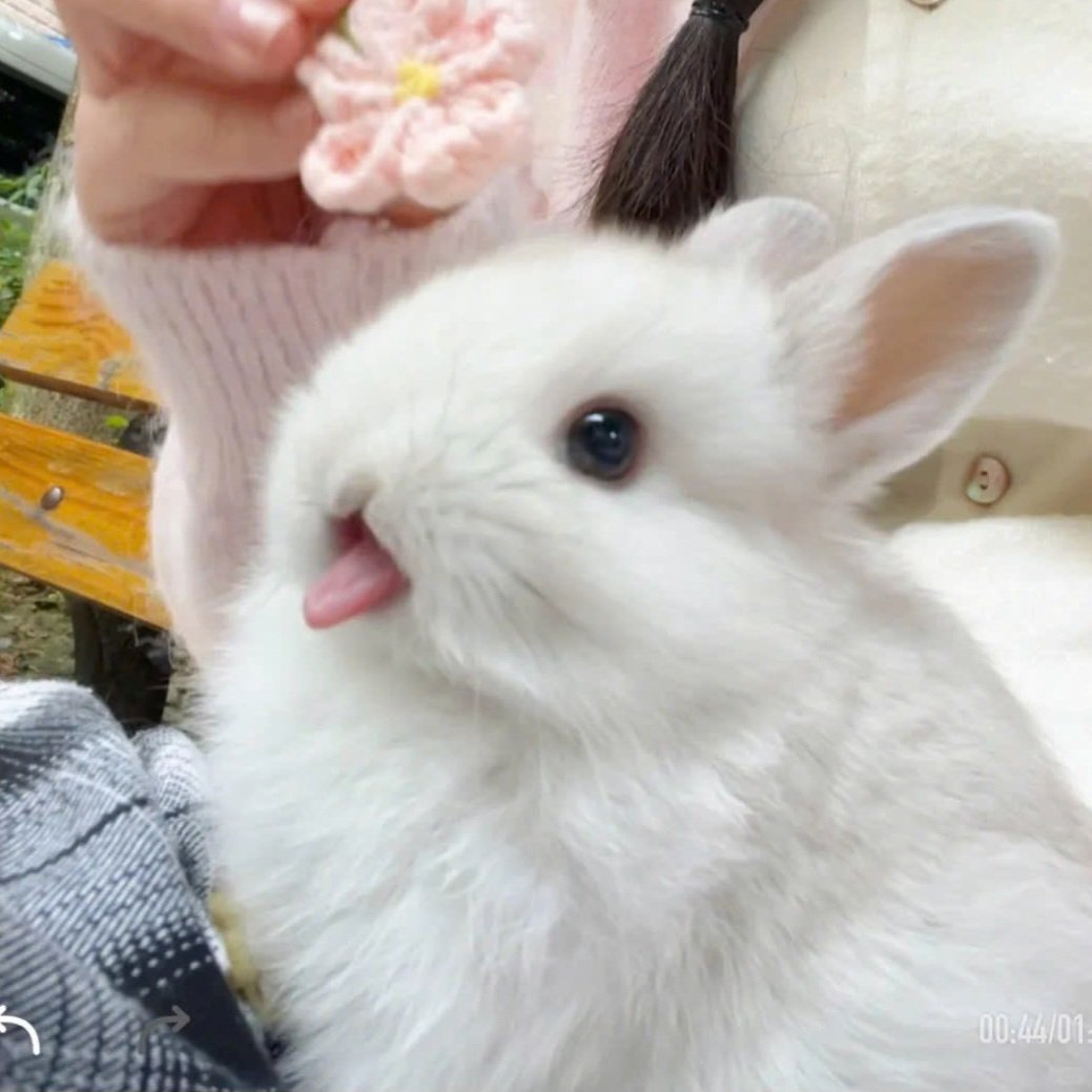 하니시🐰🤍