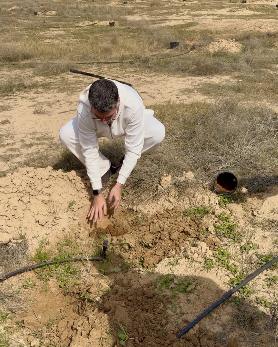 ميار الأغذية tweet media