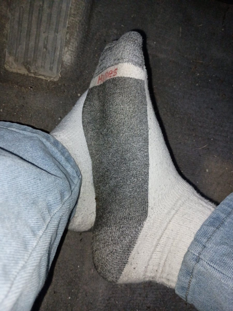 OtterSox tweet media