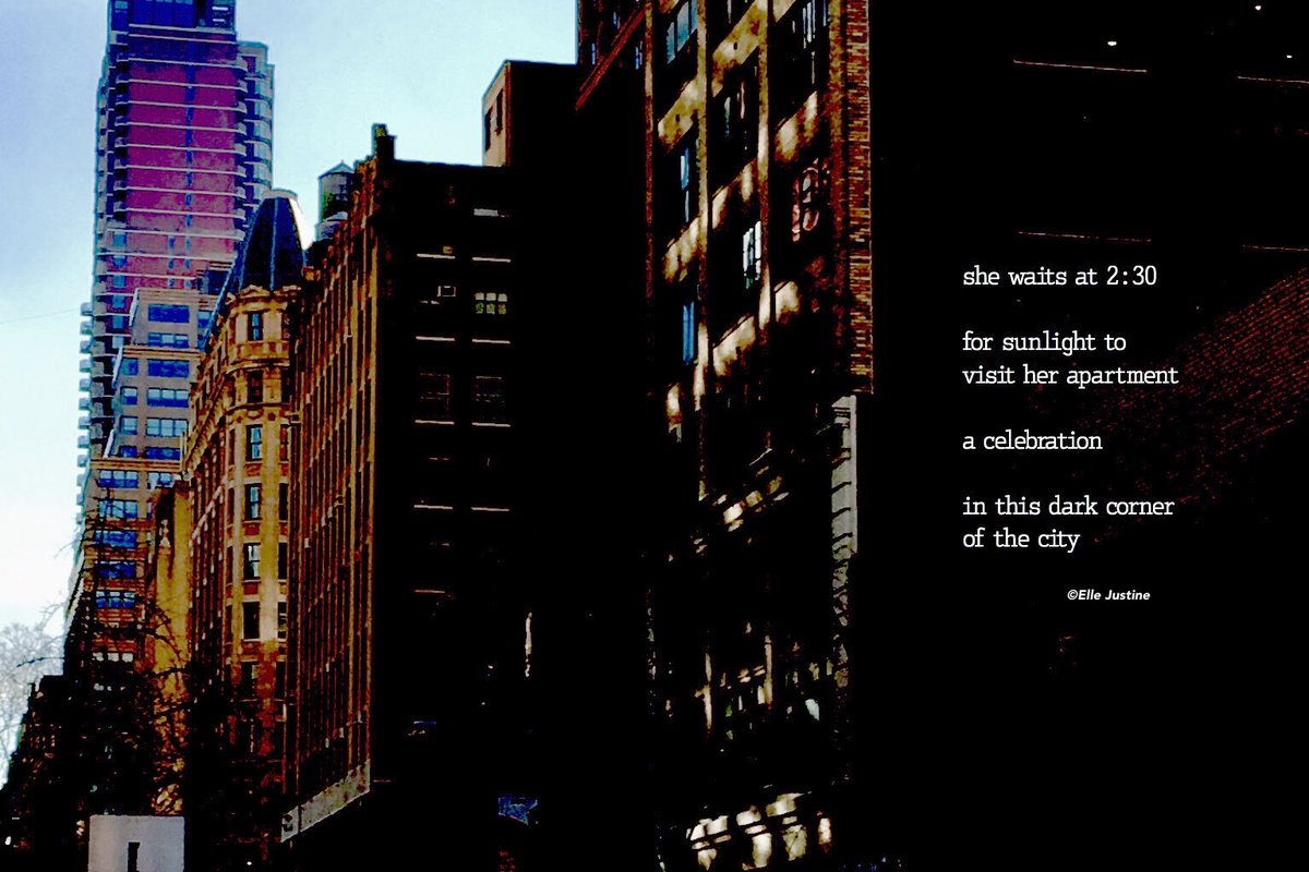 she waits at 2:30
for sunlight to visit
her apartment 

a celebration 
in this dark corner 
of the city…