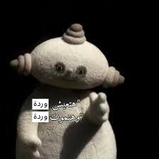 hashem has (choo choo) tweet media