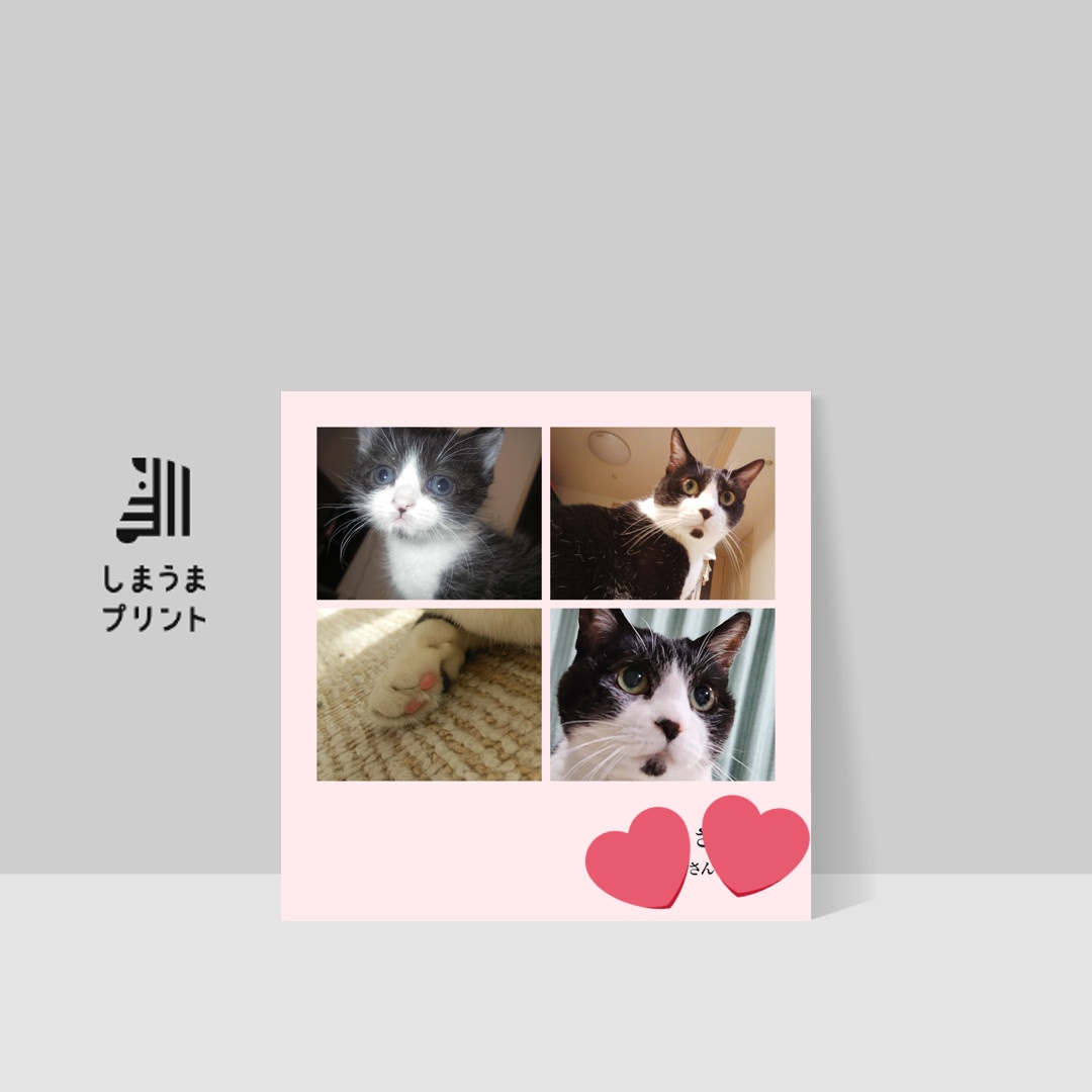 ねこ様写真集つくったった(自分の保存用だけなので1冊で)