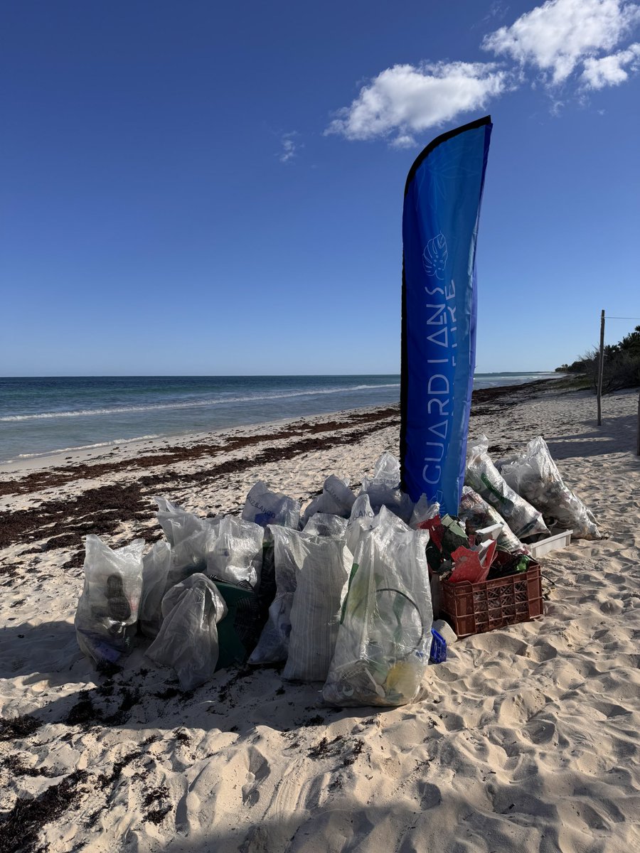 ReFi Tulum 🟢 tweet media