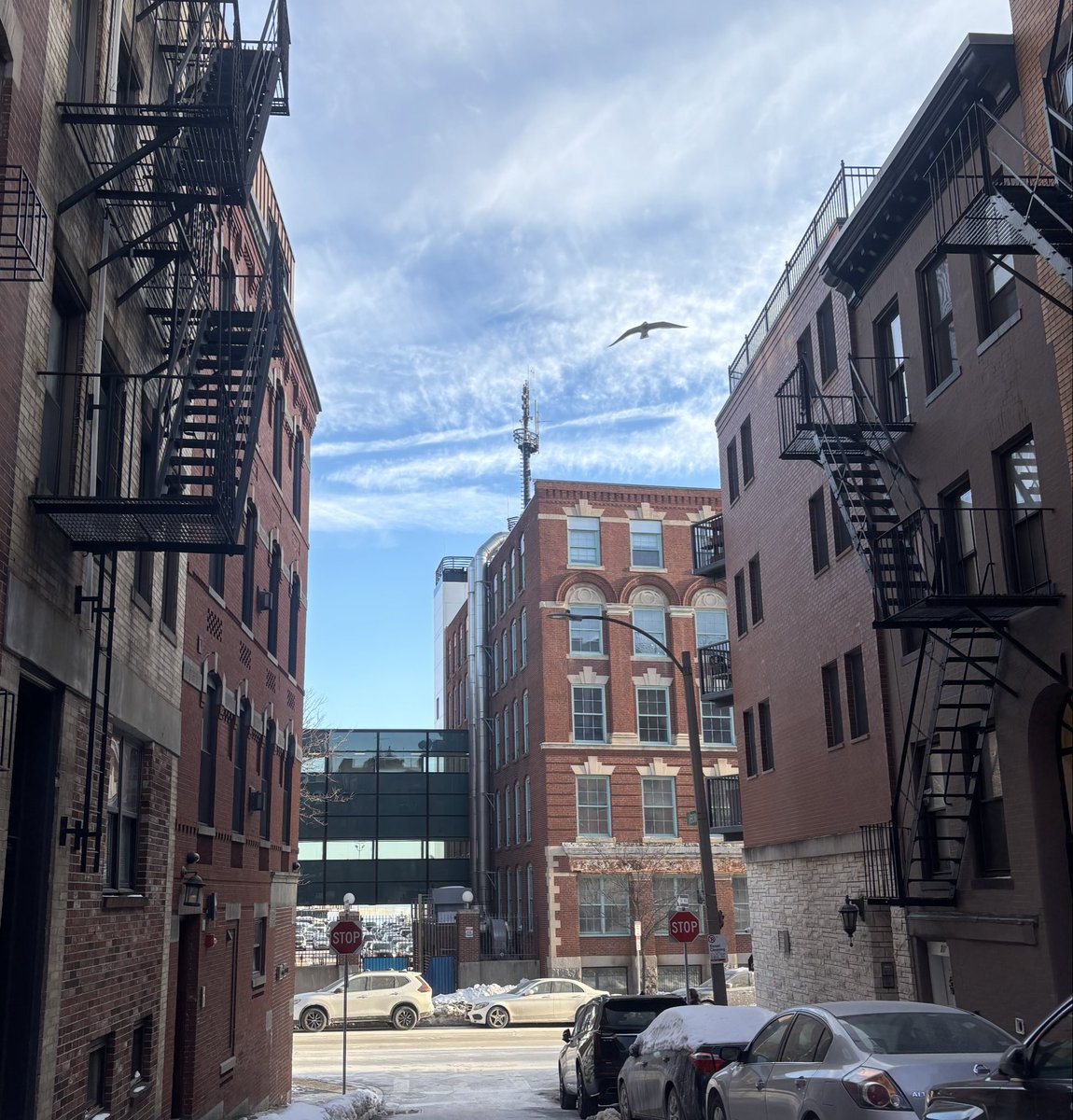 smittycapecod's tweet photo. If you snap hook up top there is a weapon case up there, bobcat every time. #ArcRaiders #boston https://t.co/Cy2R7WLtsD