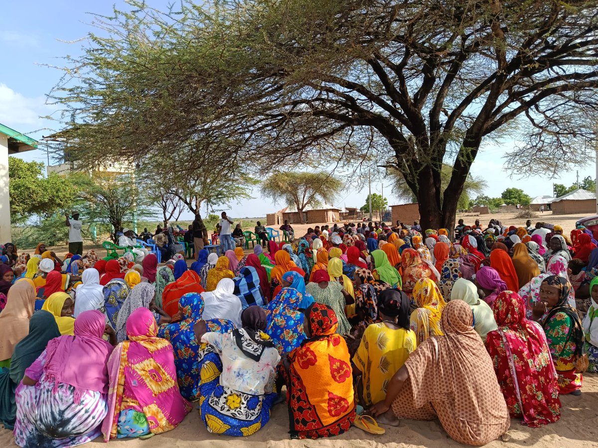 CHASP Advisory tweet media