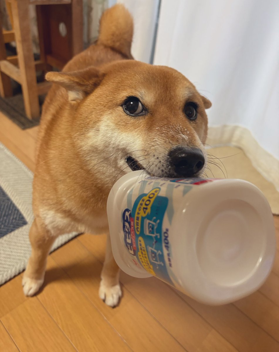 ﾆﾝｹﾞﾝに返したくないリサイクル資源堂々の一位なヨーグルト容器