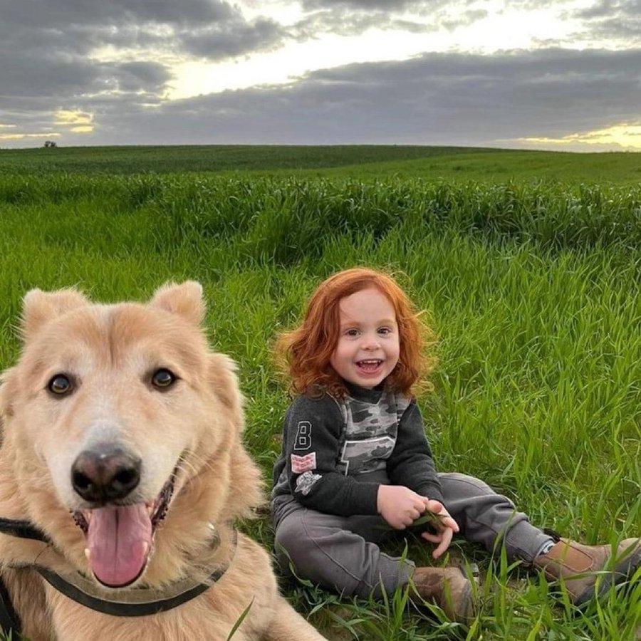 Ariel Bibas y su perro Tonto.

Tonto fue asesinado a tiros por Hamás el 7/10, y Ariel fue secuestrado y llevado a Gaza junto con su hermano pequeño y su madre, donde todos fueron estrangulados hasta la muerte por terroristas gazatíes.

Nunca dejaré que el mundo lo olvide.