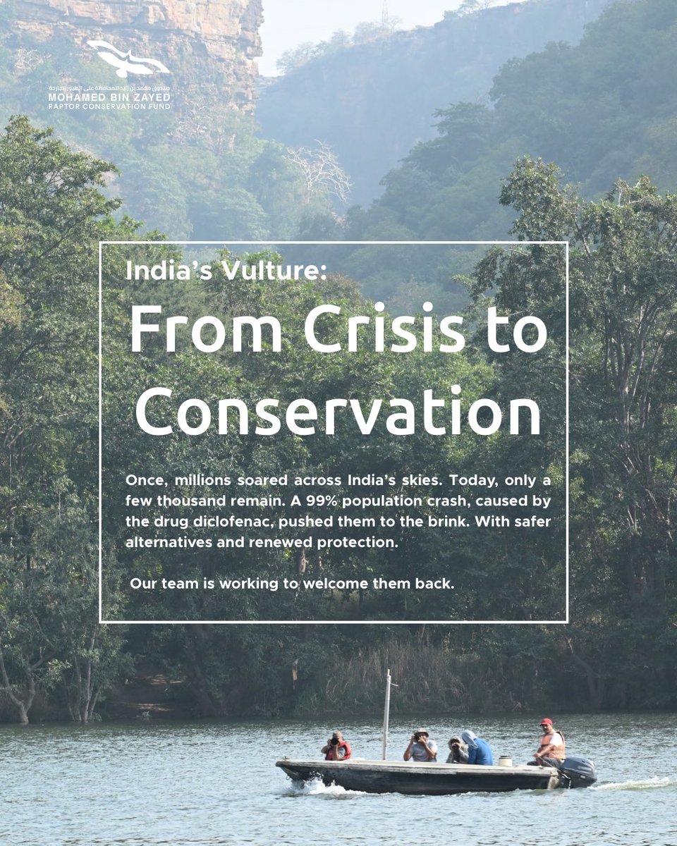 RaptorConservationFund tweet media