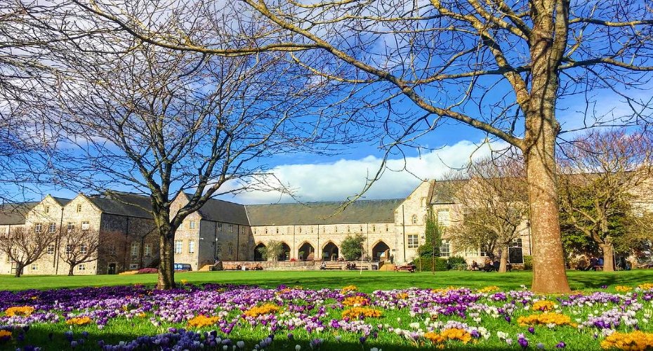 JamesFasham's tweet photo. Clinical Academic opportunities in Genomic Medicine (Senior Lecturer &amp; Professor).

Joint University of Exeter / Royal Devon posts, embedded in the NIHR Exeter BRC and the new SW Clinical Genetics Service.

📅 Apply by 22 March 2026
🔎 https://t.co/0hJbgUk3kH | Genomic Medicine https://t.co/sbnnr5RaW2