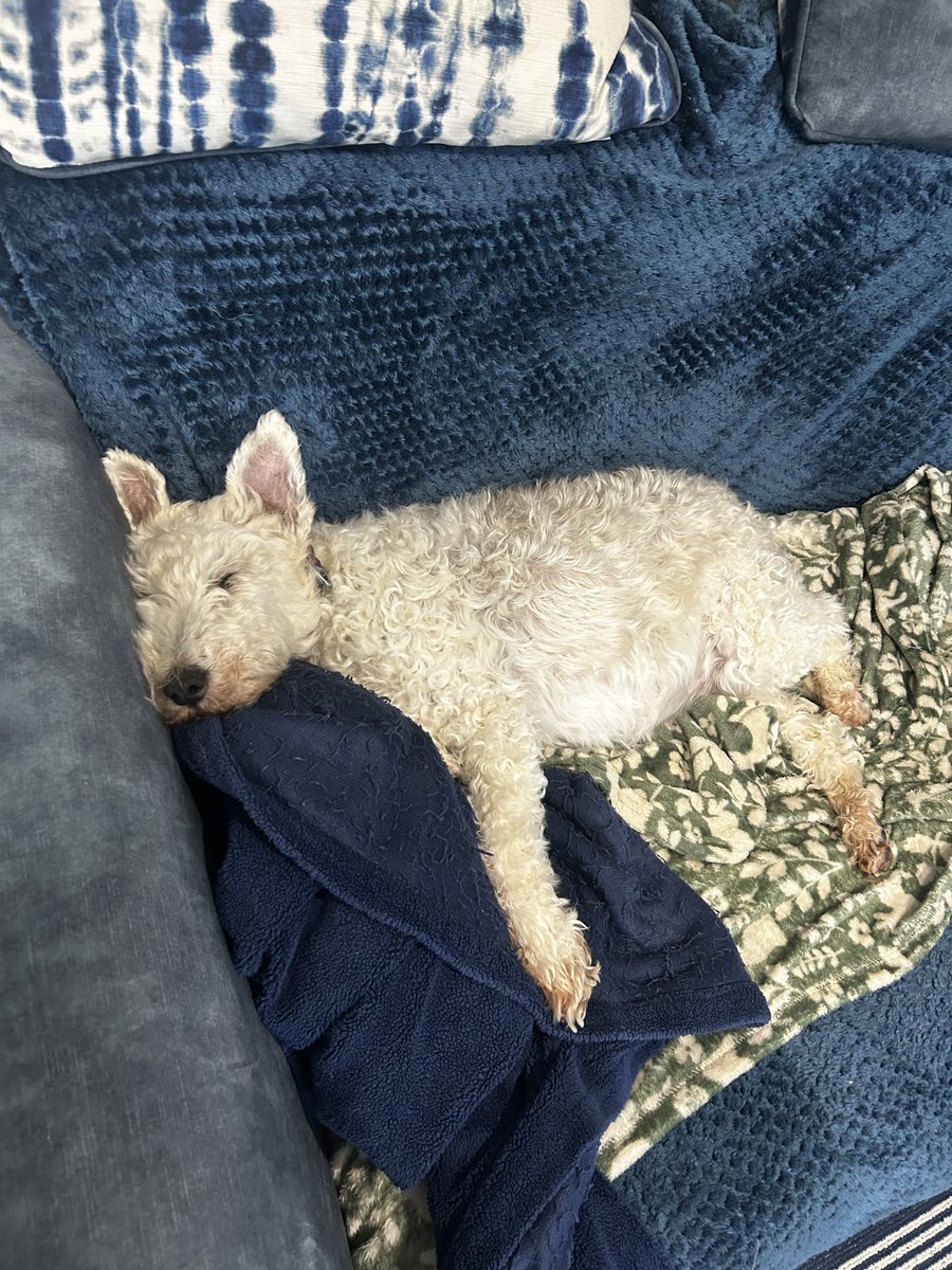 It’s a hard life being an old Nell 💕💕