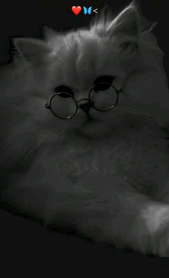 Sumera Mureed (@admen65) on Twitter photo 