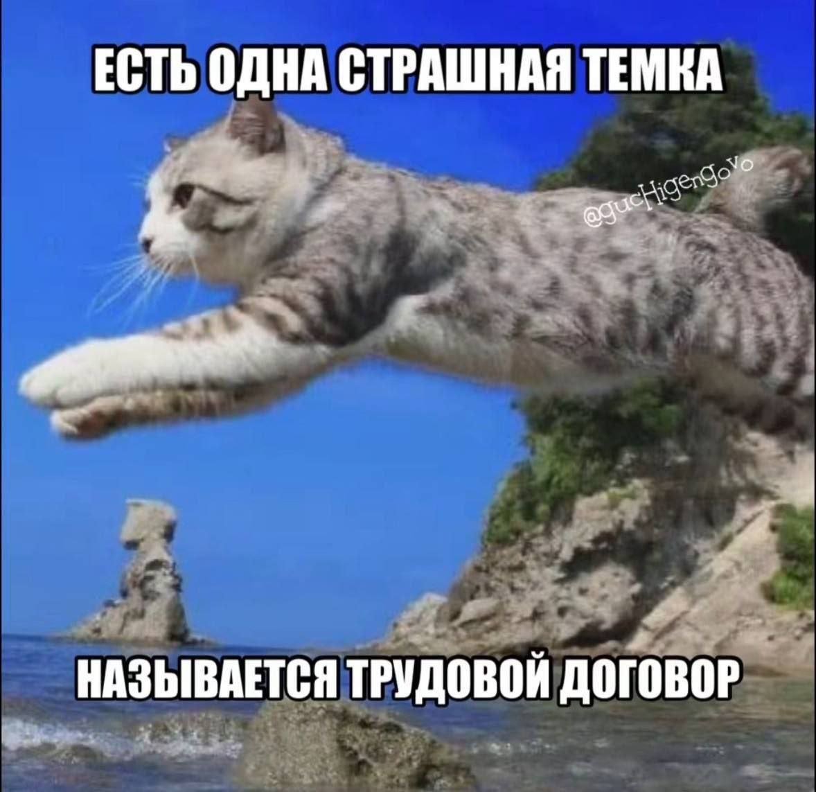 бимбо коза🇳🇴 tweet media