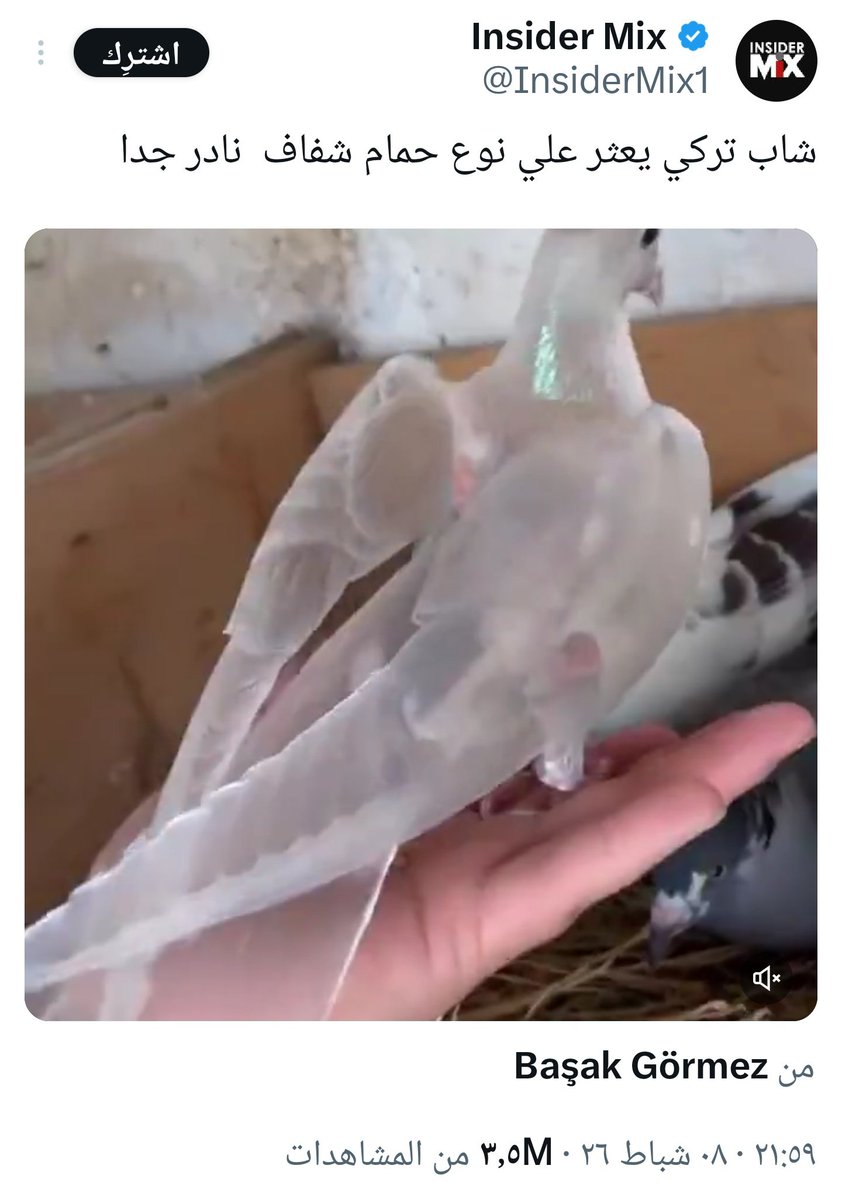 الانترنت خارج السياق tweet media