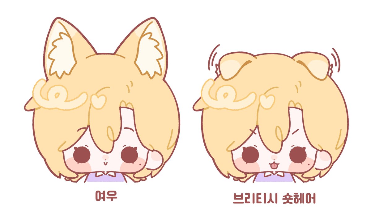 grassPL210's tweet image. 🦊여우였다가 😸브리티시 숏헤어였다가