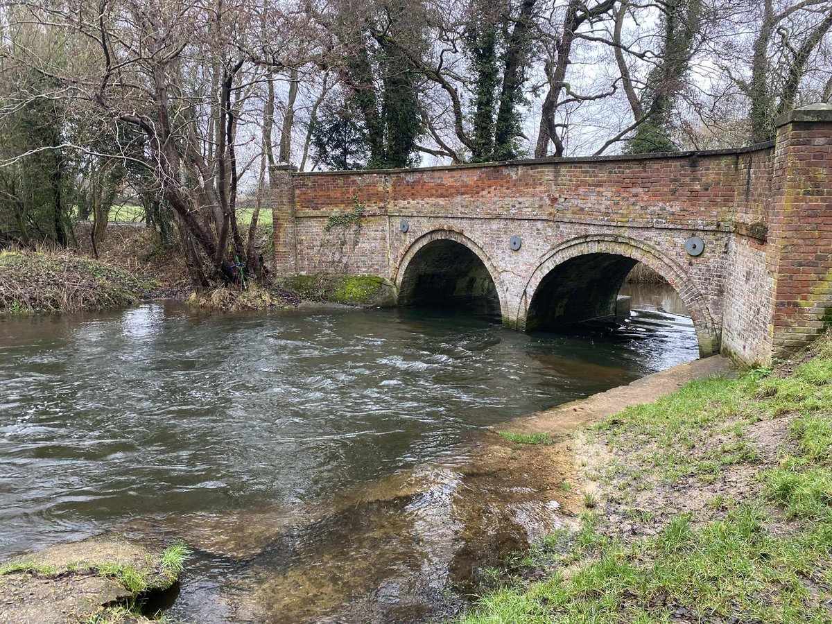 RunBreckland tweet media