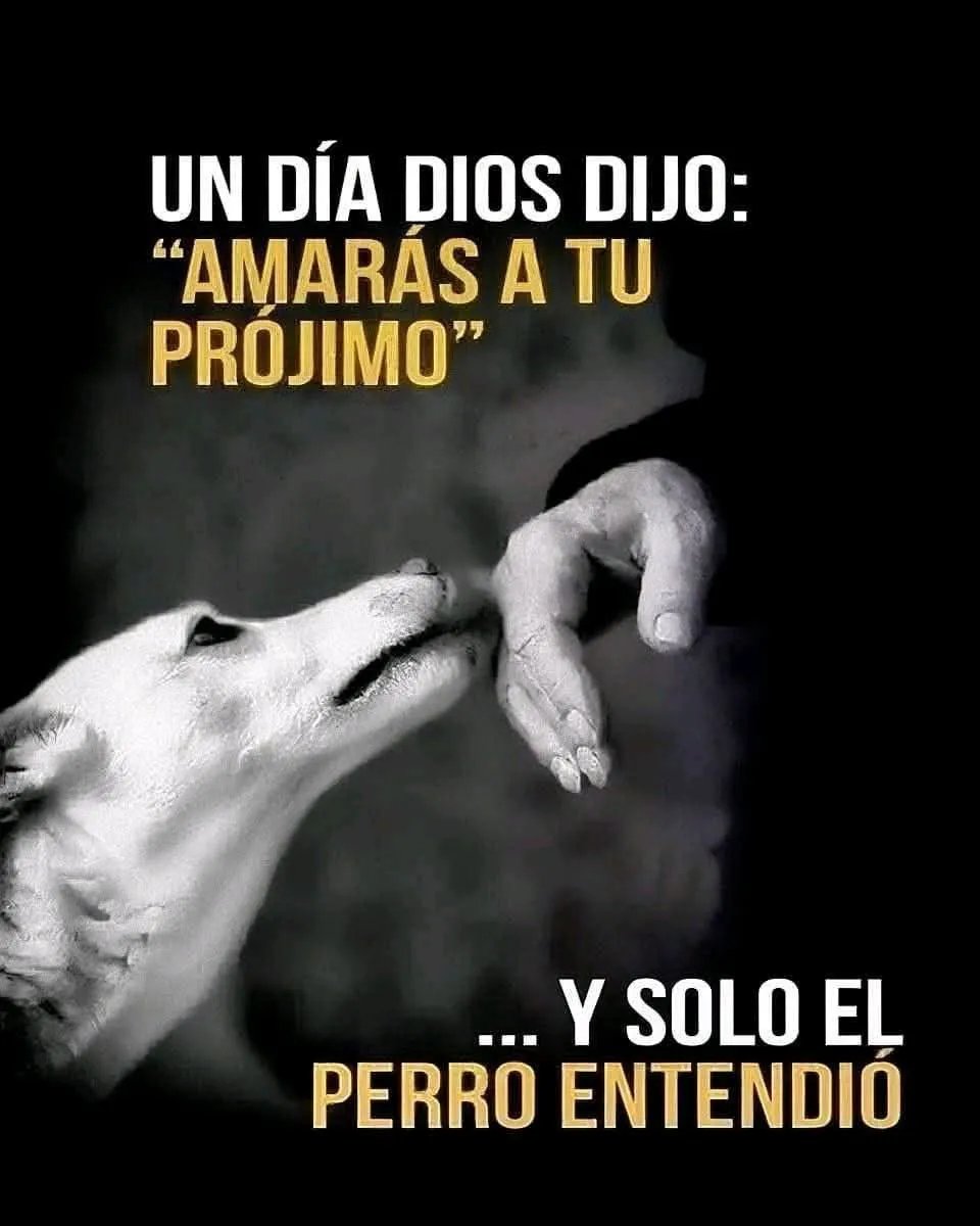 RincnCuriosoo's tweet image. 🖤