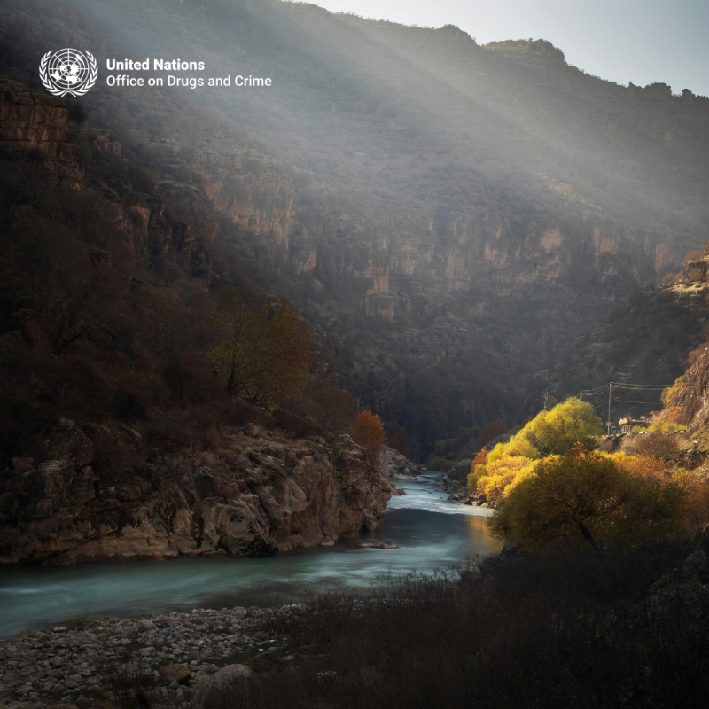 UNODC_OrgCrime's tweet photo. UNODC and @EUinIraq launch a new initiative to tackle human trafficking and migrant smuggling in Iraq.

These crimes fuel criminal networks and harm communities.

The initiative strengthens investigations, improves coordination and ensures victims receive protection and support.