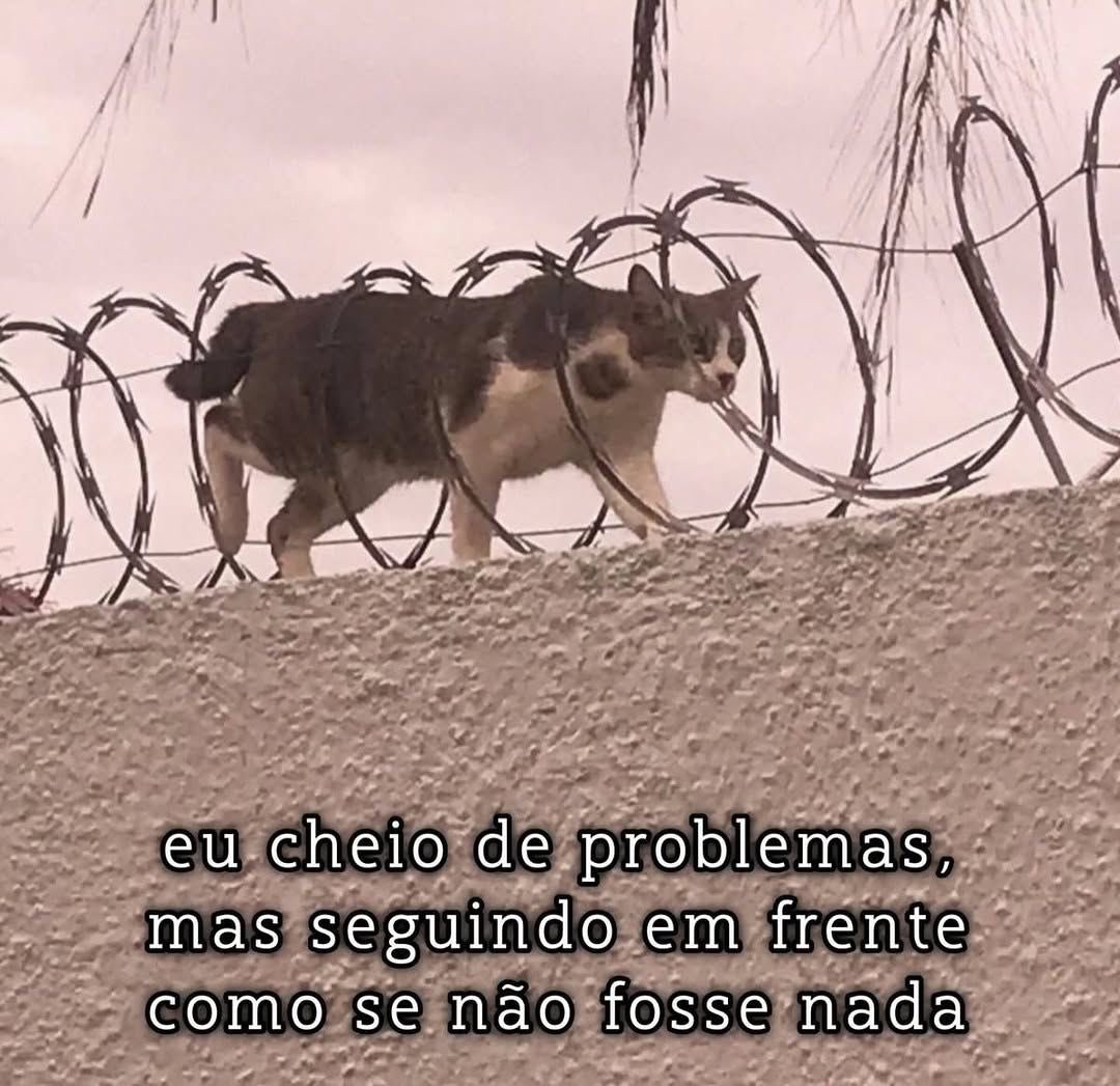 Pagina lixo (@paginalixo1) on Twitter photo 