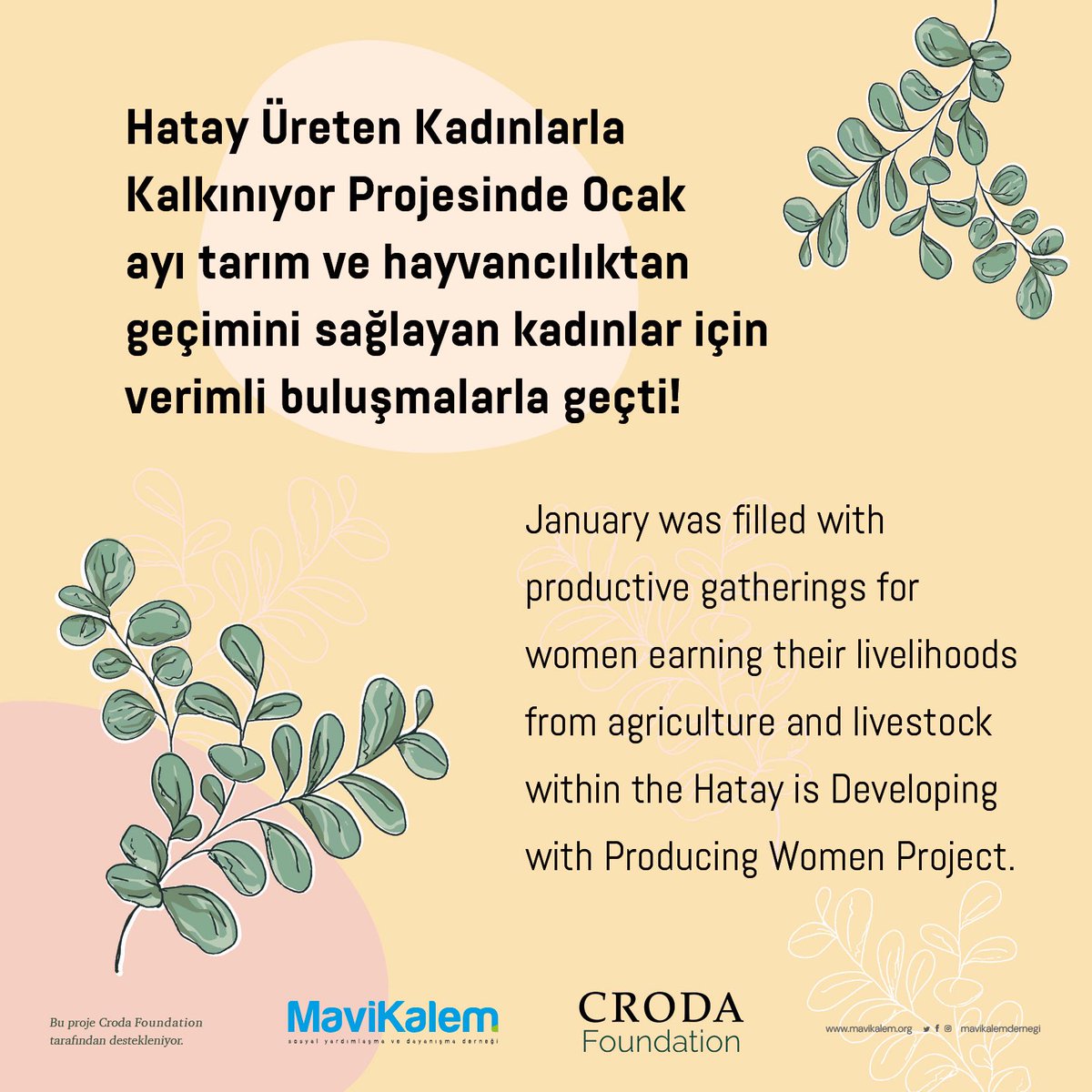 Mavi Kalem Derneği tweet media