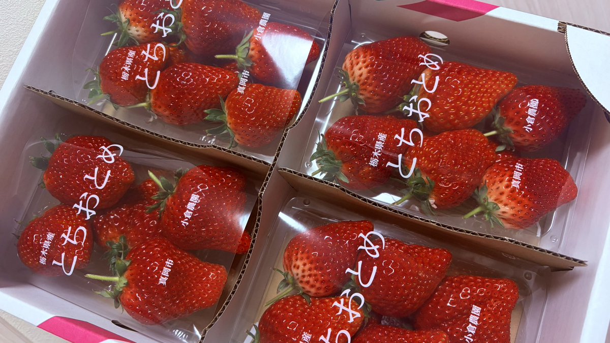 nr0bfSID's tweet photo. いちごパーティーだよ〜🍓⸜(  ॑꒳ ॑  )⸝🍓 https://t.co/pf7Kj7n3jE