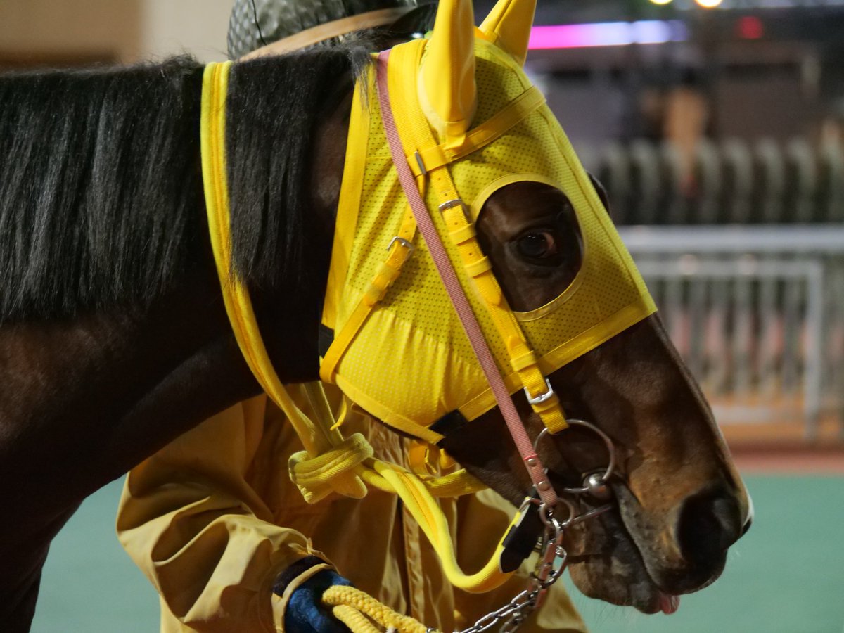 たろうー (@5t6ymDpz8mKM7ib) / Posts / X