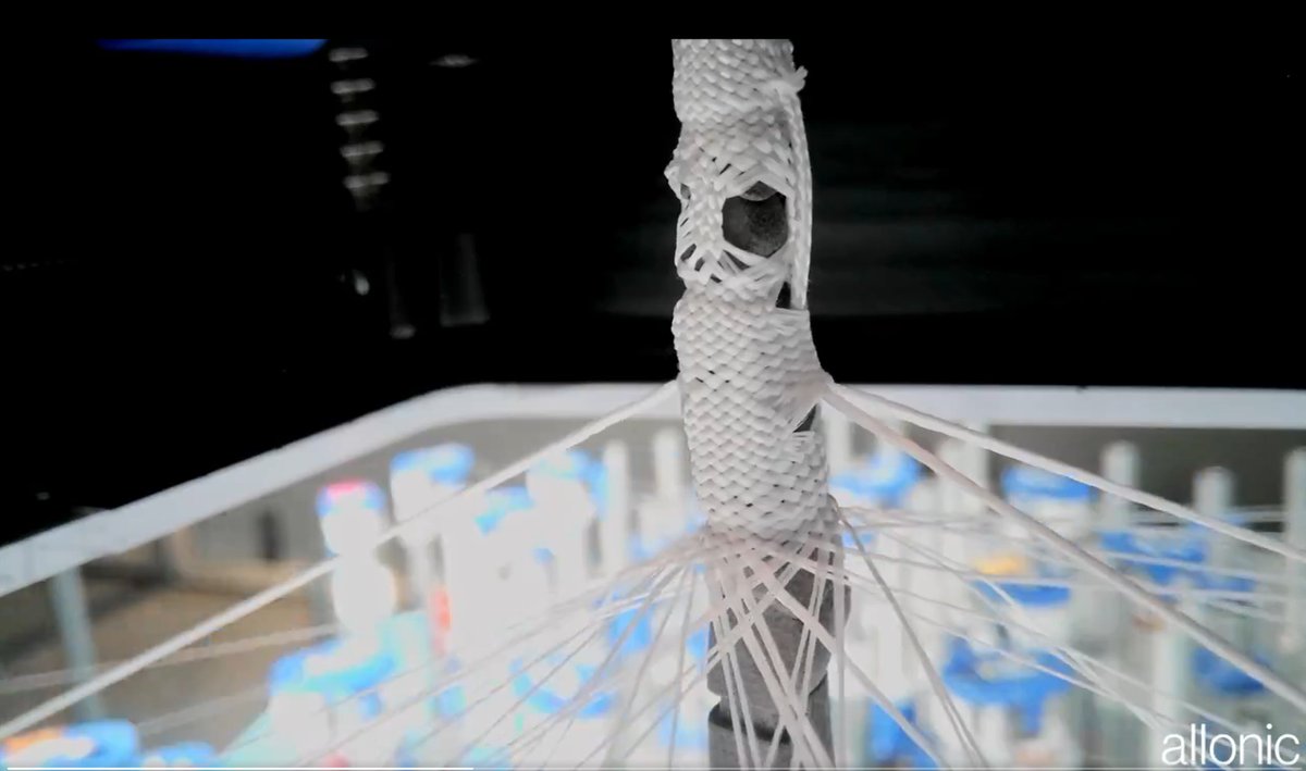 There is some amazing IP on the IP of that IP