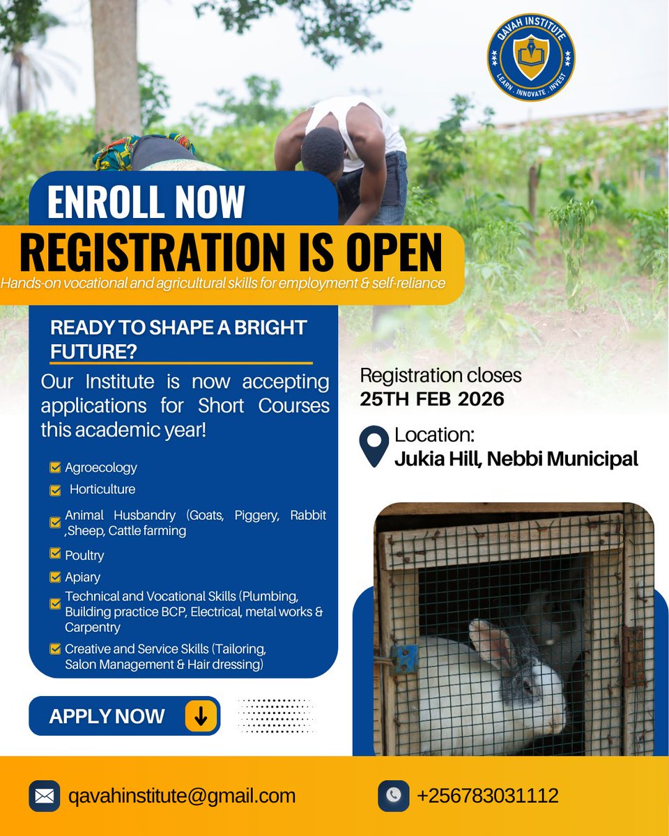 Qavah institute tweet media