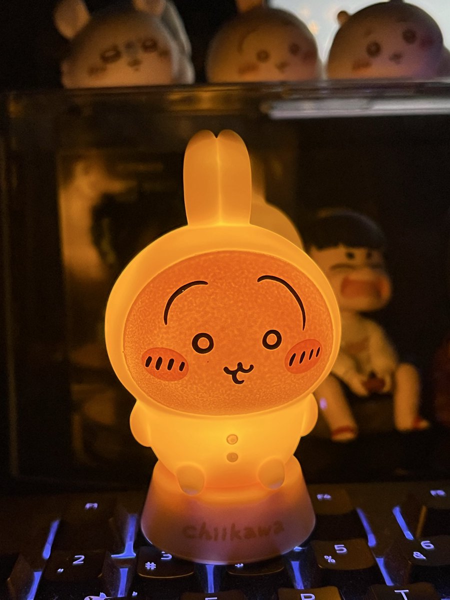 光るうさぎ見っけ！