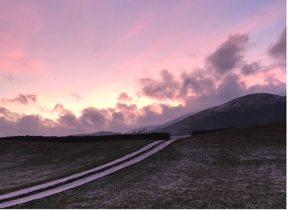 Dext Heat Recovery tweet media