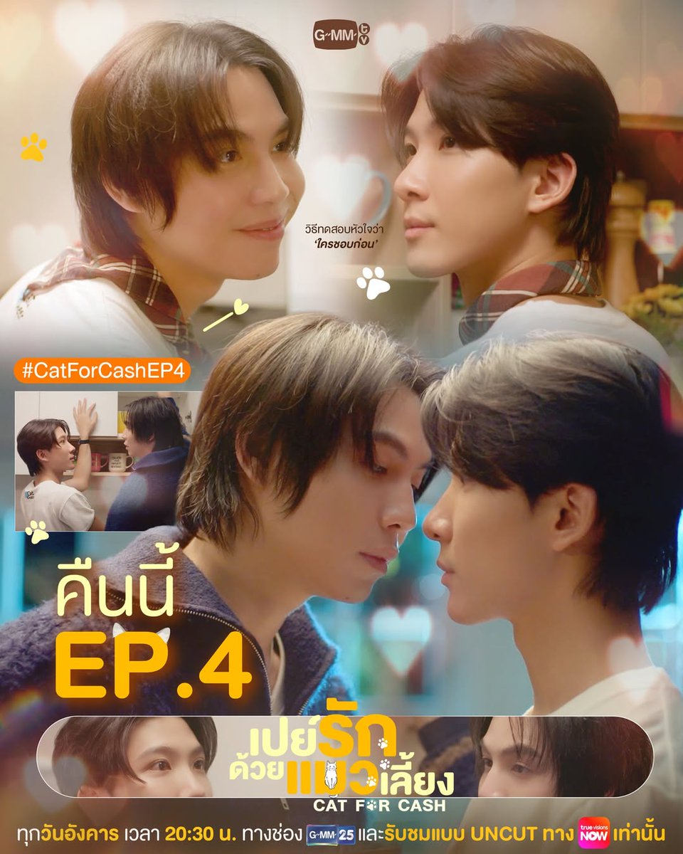 🐾✨Hoje teremos mais um episódio do bl #CatForCash, protagonizado pelos atores #FirstKhaotung, ao lado de #grtsp, #Satangktp e #JJ_Chayakorn.

#CatForCashEp4
#GMMTV