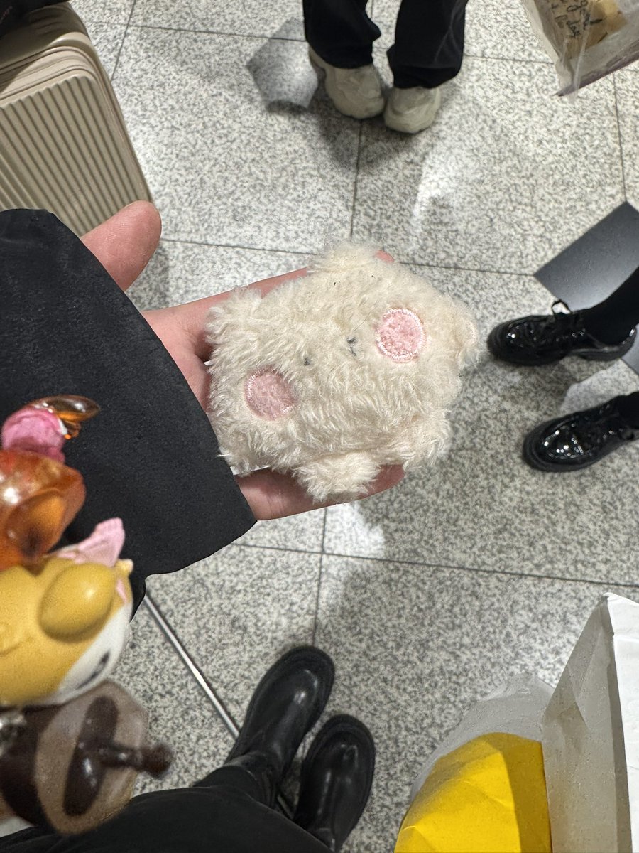 大阪の中央出口のロッカーの前に落ちてました！
ルルお預かりしてますので、落とした方いらっしゃったらDMかリプください！