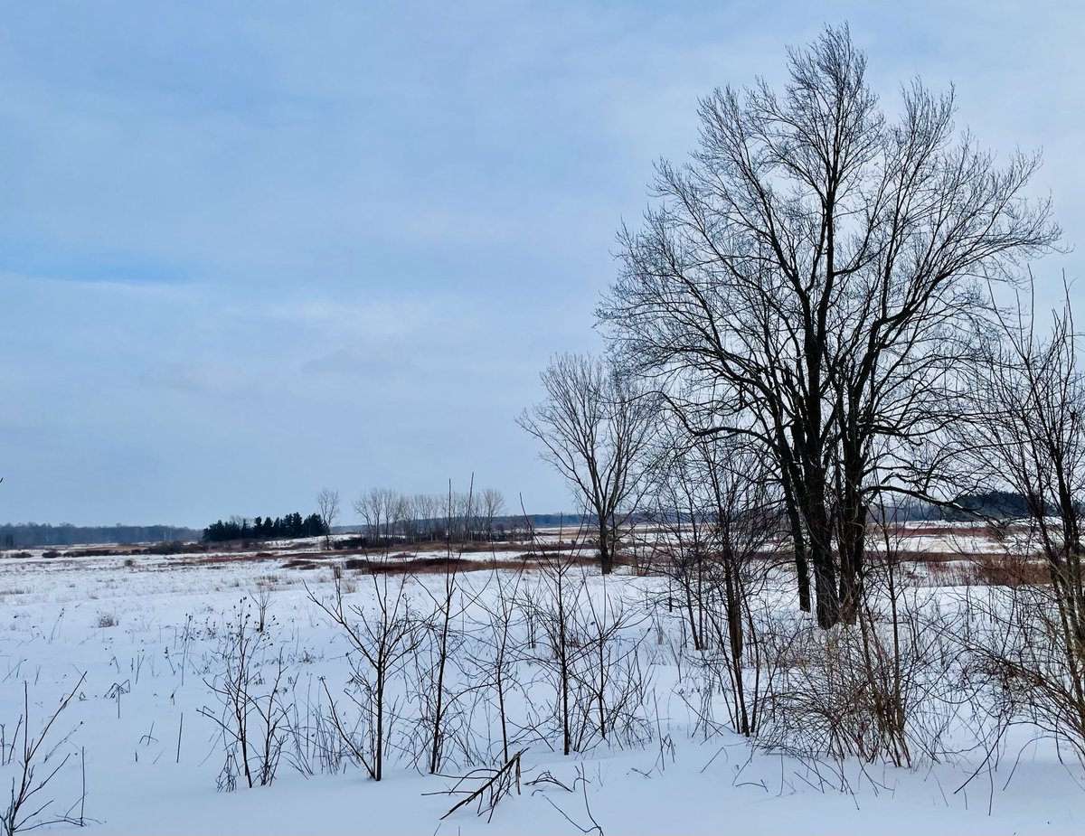 Liberation is 
Hardest on liberated;
Freely flying blind