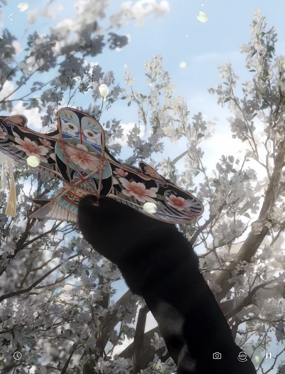 lapin_mil9's tweet image. うちの猫ちゃんに凧を取ってもらったんだけれど可愛すぎたあああああ！お手手でガサッと取るところがたまらんんんんんんん😭🫰🐈‍⬛🪁💕💕💕