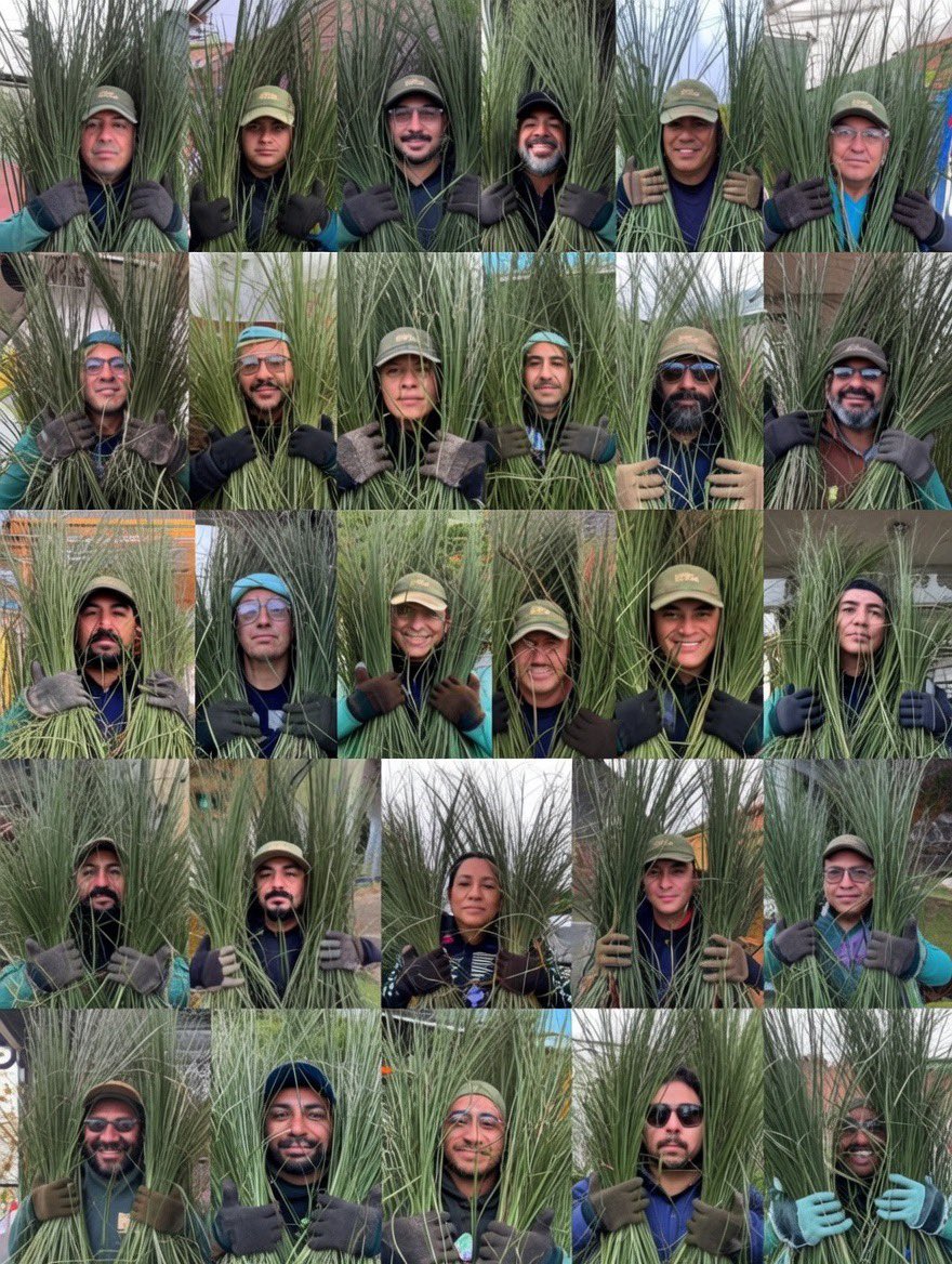 Sobre los arbustos humanos del show de medio tiempo de <a href="/sanbenito/">Benito Antonio</a>, se dice que fue por logística

Pero para mí tienen un mensaje más poderoso. Detrás de cada plantación, de cada cultivo, de cada alimento que se cosecha en el campo. Hay un humano, hay un hispano, hay un inmigrante