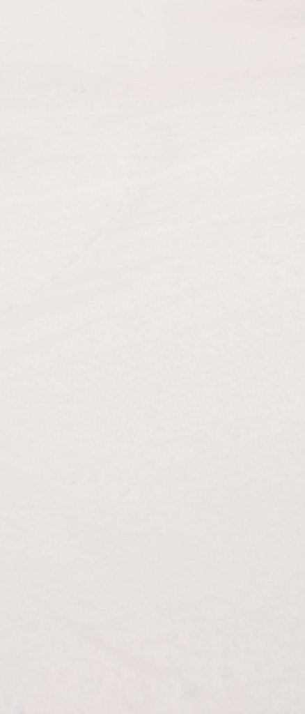 山田こひ (@yamadakohi) on Twitter photo 