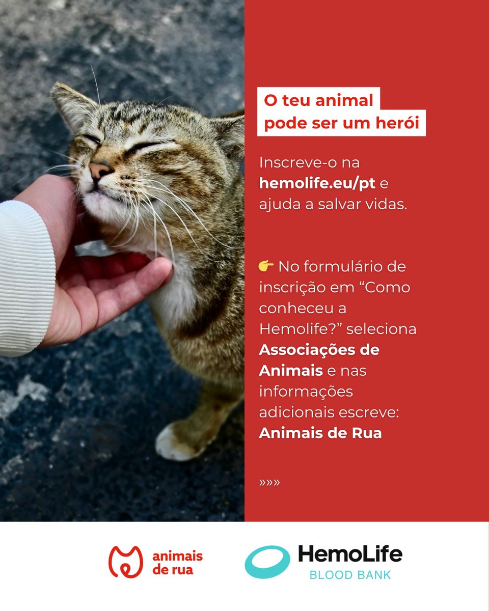 Unidos para salvar vidas! ✨

A @animaisderua juntou-se à @hemolife, para ajudarmos os animais que precisam de transfusões.

Juntos, somos mais fortes para transformar a vida de muitos animais! 🐾❤️