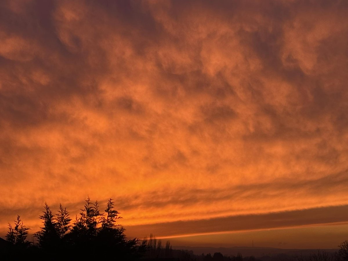 #vss365 #ache

Vibrant tones quiver on the wind,
Like aches of wild burnt tiger roses,
Exhaling..beautifully,

#poetrycommunity 

Pic is my own