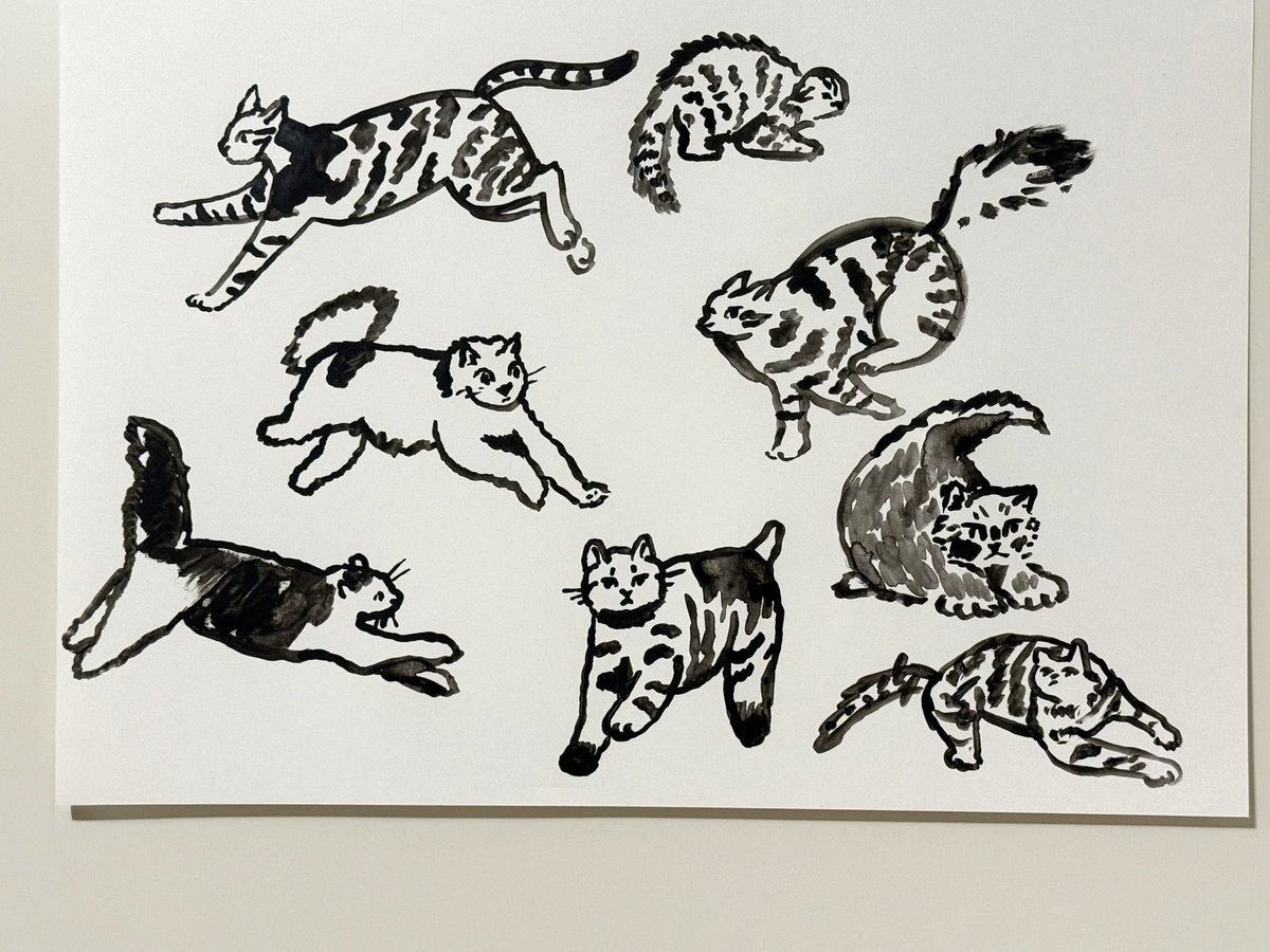 potzkun's tweet photo. 🐈 https://t.co/sAOKfXIrBd