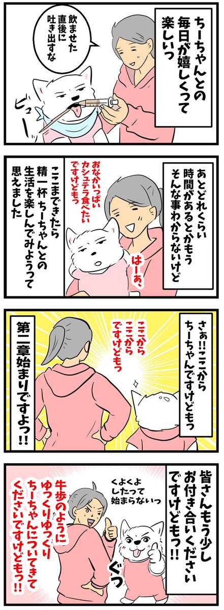 ちーちゃんですけどもっ第3巻予約発売中です❗️ (@ymc_cheezu