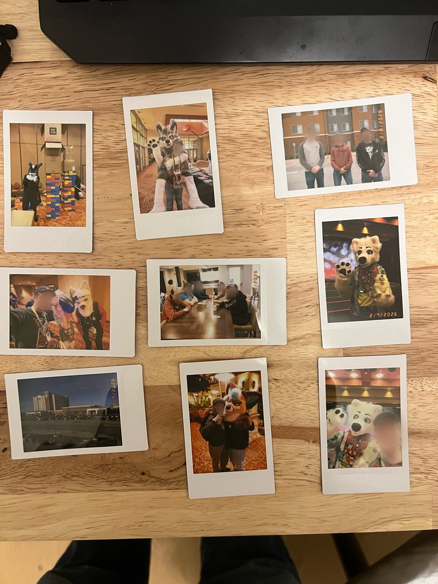 Considering I made the plans to attend days before it started, AnthroExpo was such a fun con thanks to the many friends I was able to meet at it! I was also able to give a con first-timer a great experience with the help of friends which I’m grateful for!!