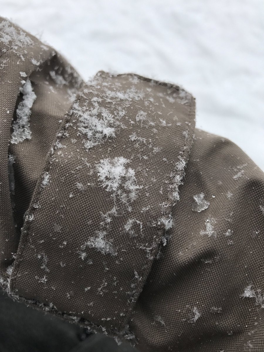 変な雪…この時期石鎚山行ったらしょっちゅう見れるが。