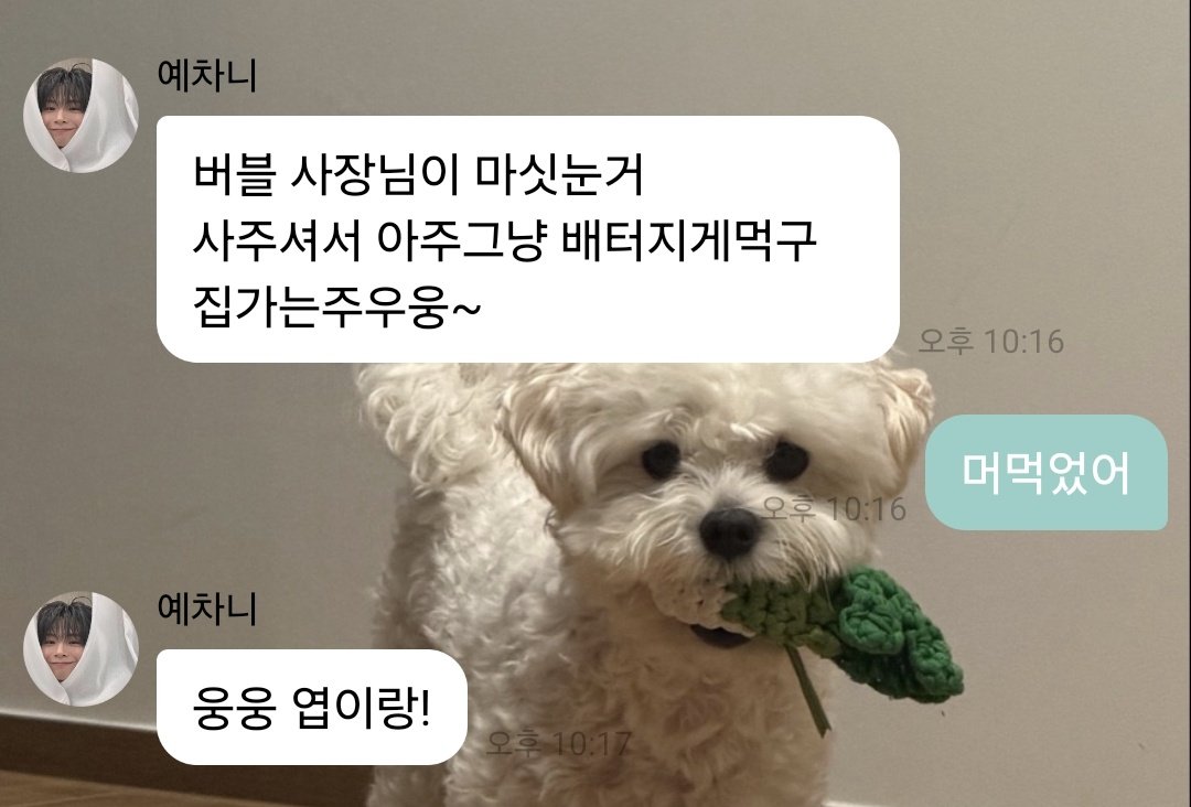 아 근데 너무 웃기지않아?ㅜㅜ
맛있는거 얻어먹고왔다는 말만 했는데 다들  "너 ㅊㅅㅇ이랑 먹었지"
이랬다는거아냐