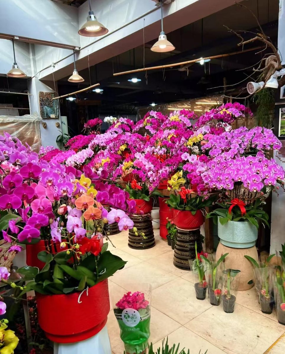 This is Shibei, Qingdao tweet media