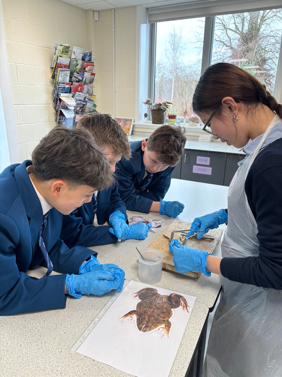 The King's School tweet media